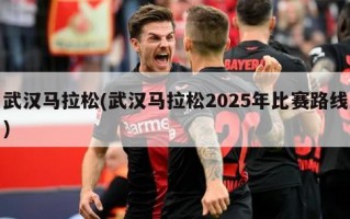武汉马拉松(武汉马拉松2025年比赛路线)