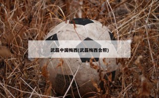 武磊中国梅西(武磊梅西合照)