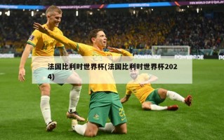 法国比利时世界杯(法国比利时世界杯2024)