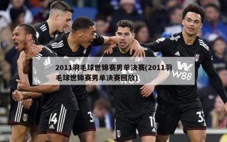 2011羽毛球世锦赛男单决赛(2011羽毛球世锦赛男单决赛回放)
