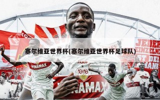 塞尔维亚世界杯(塞尔维亚世界杯足球队)