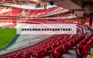 世界杯比赛视频(世界杯比赛视频下载免费)
