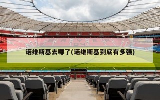 诺维斯基去哪了(诺维斯基到底有多强)
