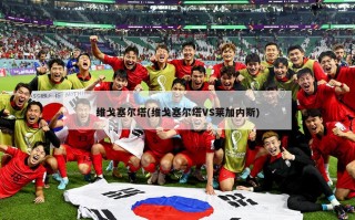 维戈塞尔塔(维戈塞尔塔VS莱加内斯)