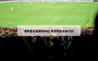 冬残奥会金牌榜排名(冬季残奥会排行榜)