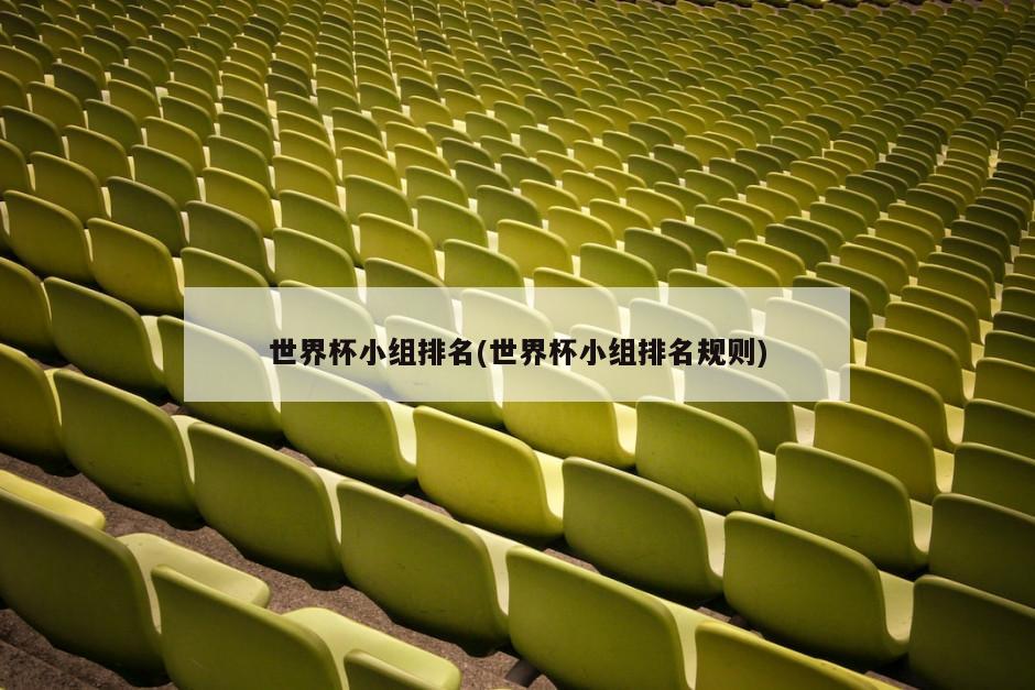 世界杯小组排名(世界杯小组排名规则)-第1张图片-海莱特体育