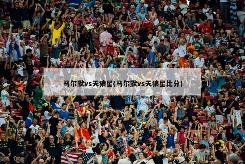 马尔默vs天狼星(马尔默vs天狼星比分)-第1张图片-海莱特体育