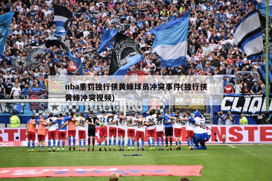 nba重罚独行侠黄蜂球员冲突事件(独行侠黄蜂冲突视频)-第1张图片-海莱特体育