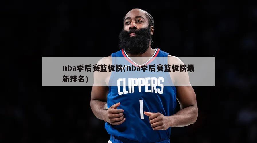 nba季后赛篮板榜(nba季后赛篮板榜最新排名)-第1张图片-海莱特体育