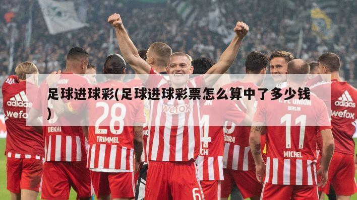 足球进球彩(足球进球彩票怎么算中了多少钱)-第1张图片-海莱特体育