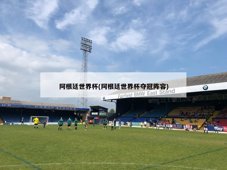 阿根廷世界杯(阿根廷世界杯夺冠阵容)-第1张图片-海莱特体育