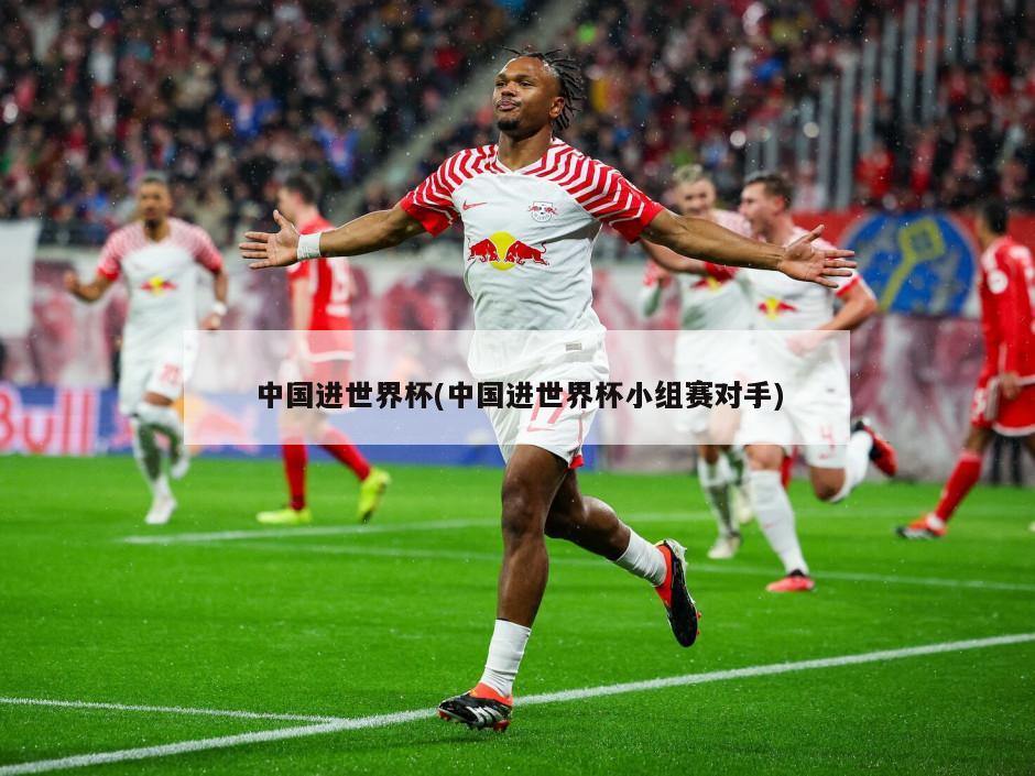 中国进世界杯(中国进世界杯小组赛对手)-第1张图片-海莱特体育