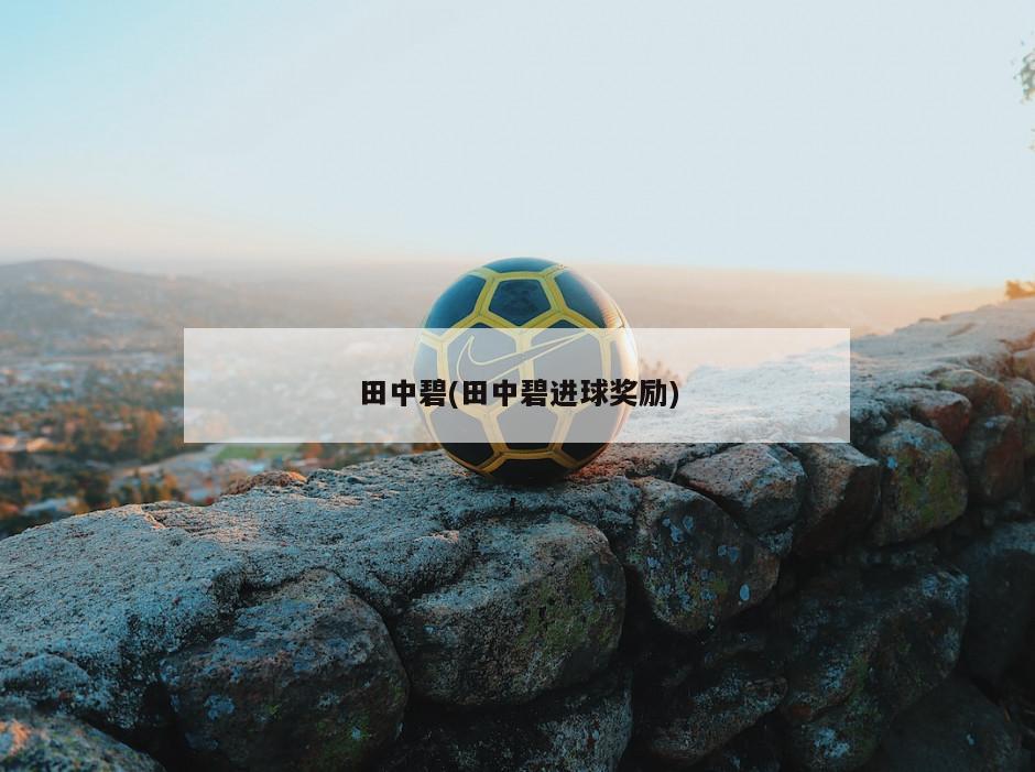 田中碧(田中碧进球奖励)-第1张图片-海莱特体育
