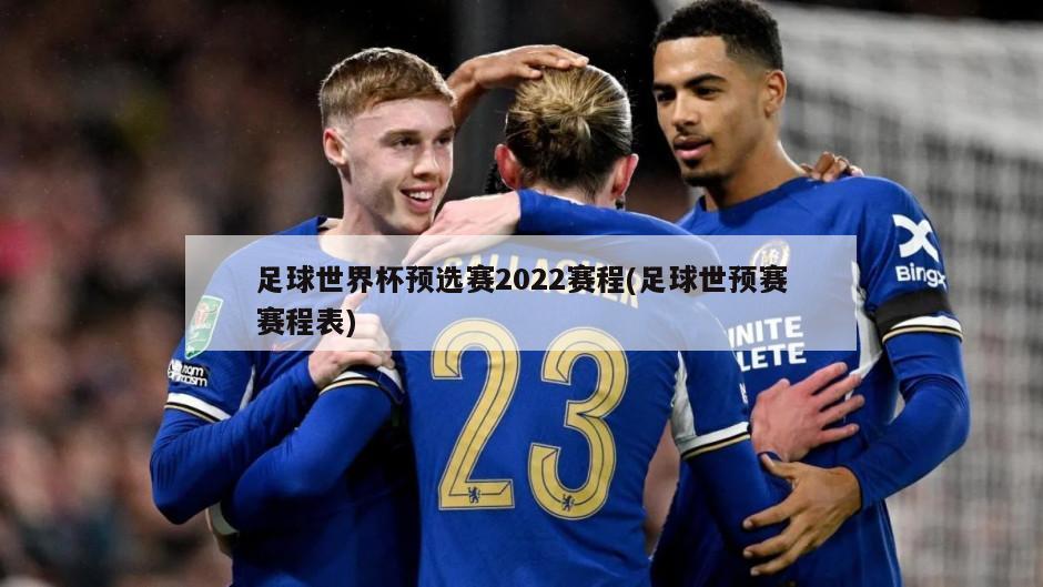 足球世界杯预选赛2022赛程(足球世预赛赛程表)-第1张图片-海莱特体育