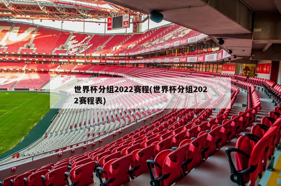世界杯分组2022赛程(世界杯分组2022赛程表)-第1张图片-海莱特体育
