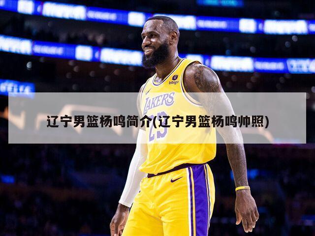 辽宁男篮杨鸣简介(辽宁男篮杨鸣帅照)-第1张图片-海莱特体育