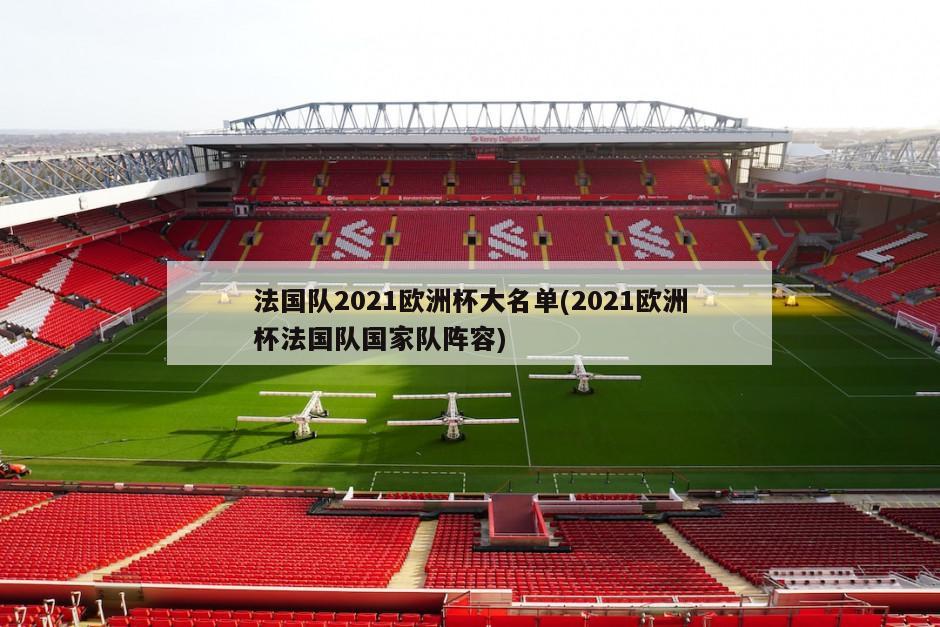 法国队2021欧洲杯大名单(2021欧洲杯法国队国家队阵容)-第1张图片-海莱特体育