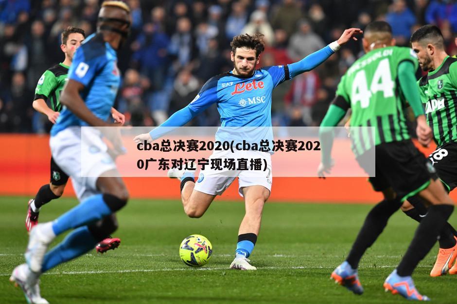 cba总决赛2020(cba总决赛2020广东对辽宁现场直播)-第1张图片-海莱特体育