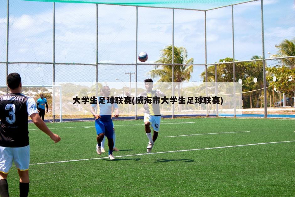 大学生足球联赛(威海市大学生足球联赛)-第1张图片-海莱特体育