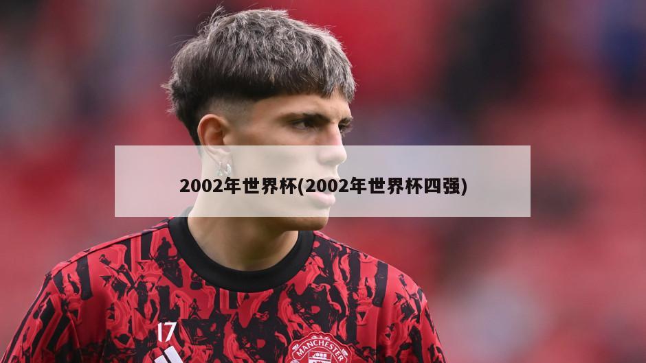 2002年世界杯(2002年世界杯四强)-第1张图片-海莱特体育