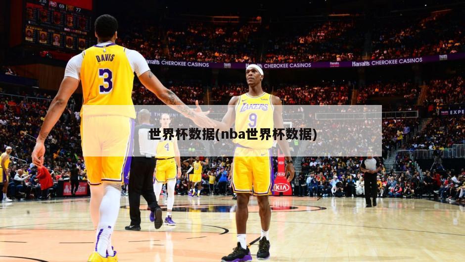 世界杯数据(nba世界杯数据)-第1张图片-海莱特体育