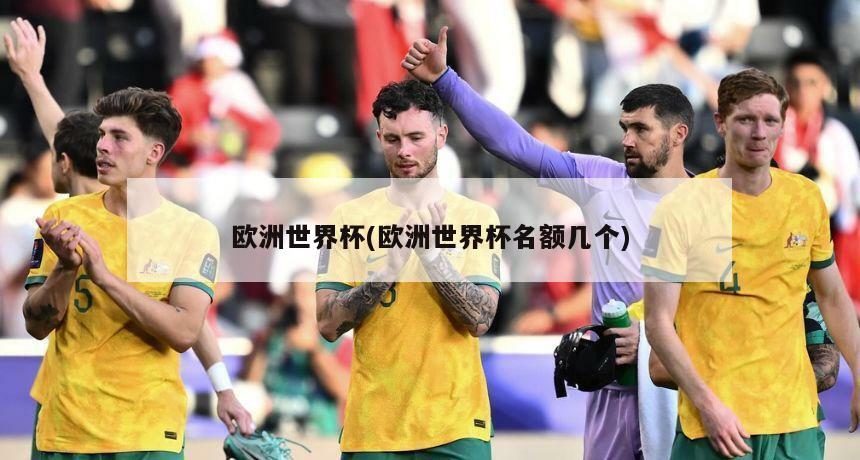 欧洲世界杯(欧洲世界杯名额几个)-第1张图片-海莱特体育