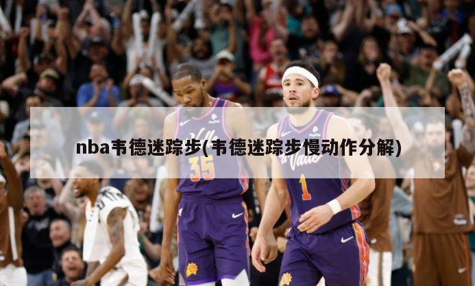 nba韦德迷踪步(韦德迷踪步慢动作分解)-第1张图片-海莱特体育
