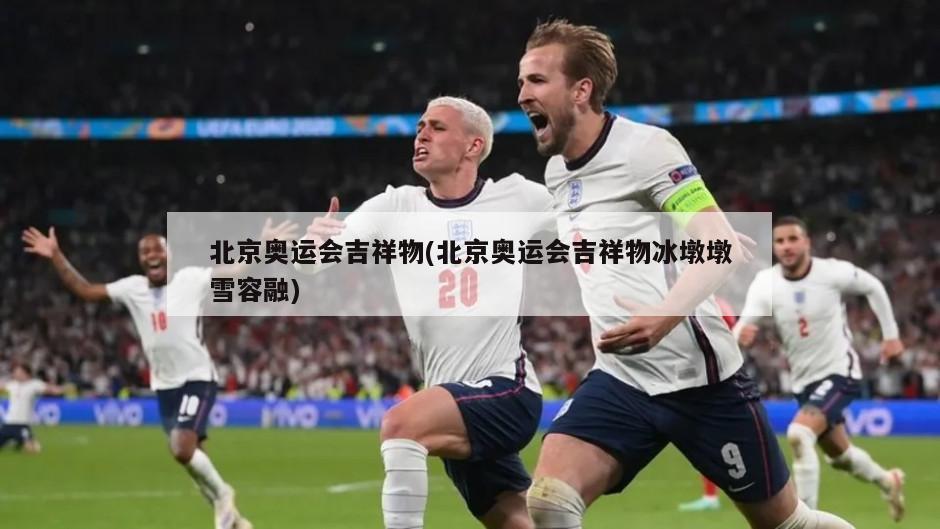 北京奥运会吉祥物(北京奥运会吉祥物冰墩墩雪容融)-第1张图片-海莱特体育