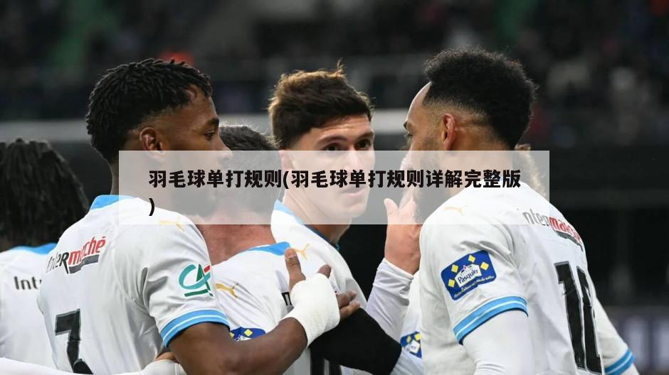 羽毛球单打规则(羽毛球单打规则详解完整版)-第1张图片-海莱特体育