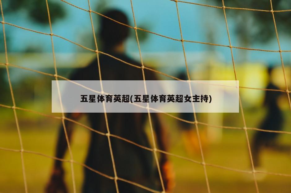 五星体育英超(五星体育英超女主持)-第1张图片-海莱特体育
