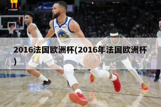 2016法国欧洲杯(2016年法国欧洲杯)-第1张图片-海莱特体育
