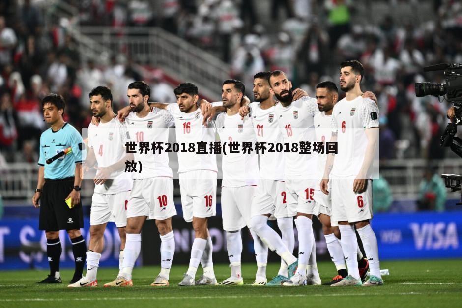 世界杯2018直播(世界杯2018整场回放)-第1张图片-海莱特体育