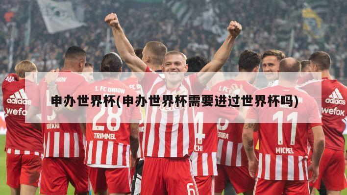 申办世界杯(申办世界杯需要进过世界杯吗)-第1张图片-海莱特体育
