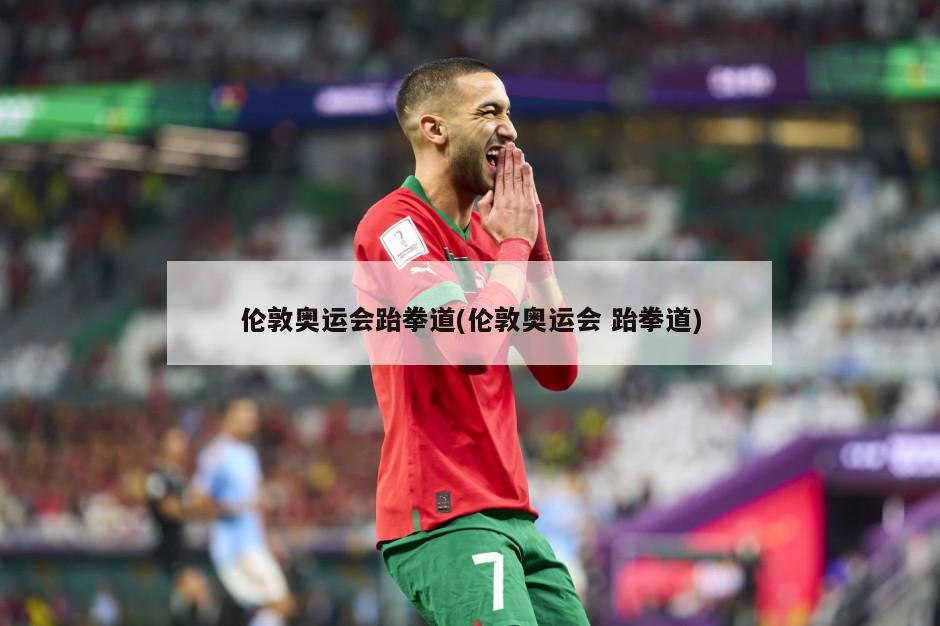伦敦奥运会跆拳道(伦敦奥运会 跆拳道)-第1张图片-海莱特体育