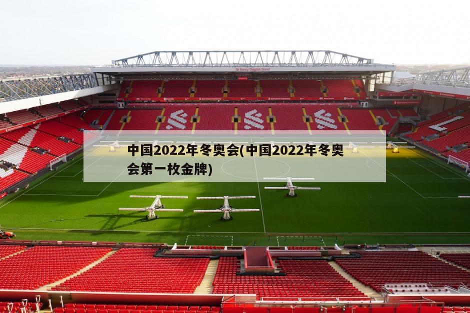 中国2022年冬奥会(中国2022年冬奥会第一枚金牌)-第1张图片-海莱特体育