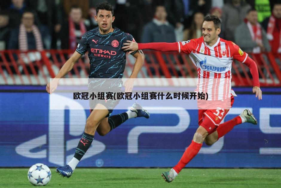 欧冠小组赛(欧冠小组赛什么时候开始)-第1张图片-海莱特体育