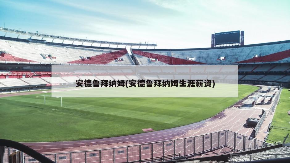 安德鲁拜纳姆(安德鲁拜纳姆生涯薪资)-第1张图片-海莱特体育