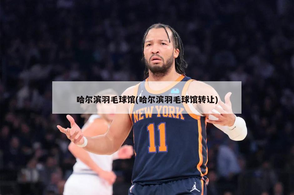 哈尔滨羽毛球馆(哈尔滨羽毛球馆转让)-第1张图片-海莱特体育