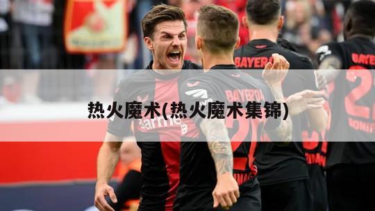 热火魔术(热火魔术集锦)-第1张图片-海莱特体育