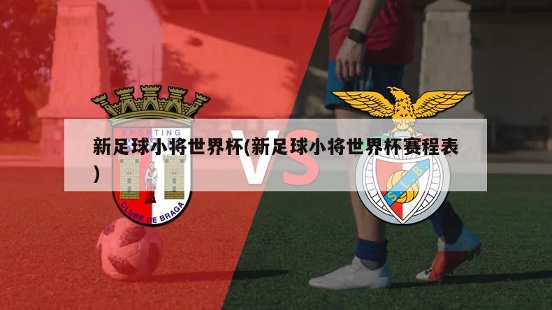新足球小将世界杯(新足球小将世界杯赛程表)-第1张图片-海莱特体育
