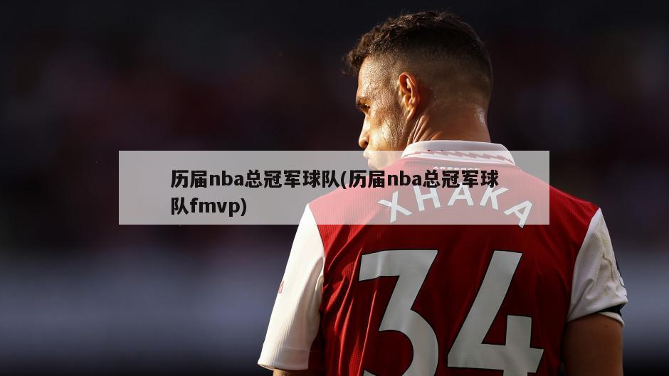 历届nba总冠军球队(历届nba总冠军球队fmvp)-第1张图片-海莱特体育