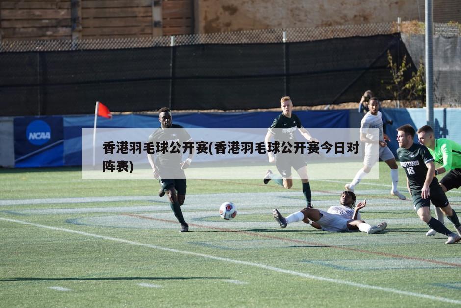 香港羽毛球公开赛(香港羽毛球公开赛今日对阵表)-第1张图片-海莱特体育