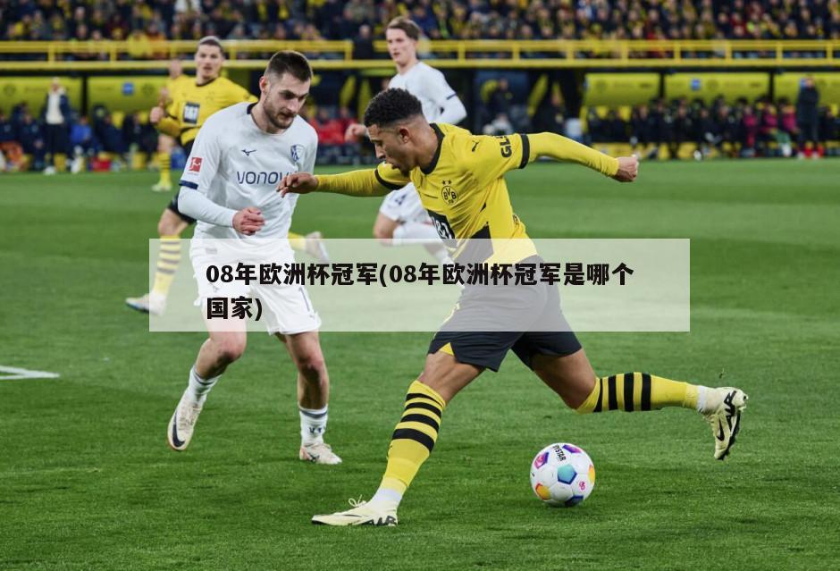 08年欧洲杯冠军(08年欧洲杯冠军是哪个国家)-第1张图片-海莱特体育