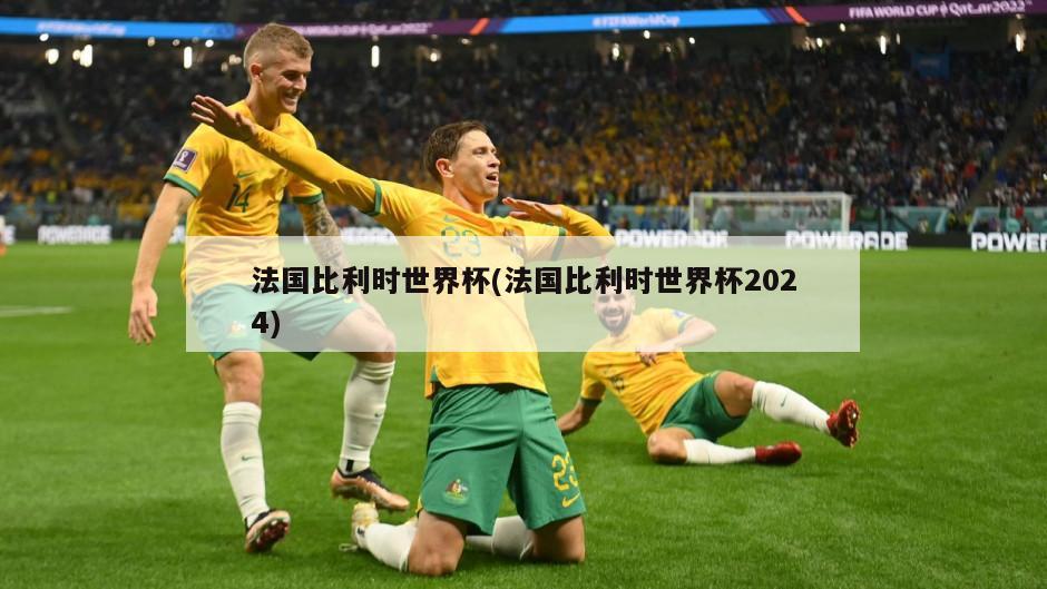 法国比利时世界杯(法国比利时世界杯2024)-第1张图片-海莱特体育