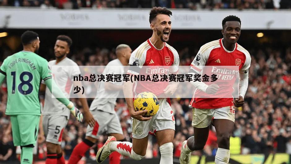 nba总决赛冠军(NBA总决赛冠军奖金多少)-第1张图片-海莱特体育