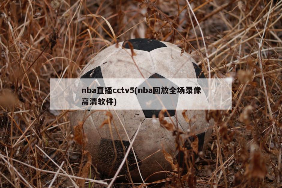 nba直播cctv5(nba回放全场录像高清软件)-第1张图片-海莱特体育