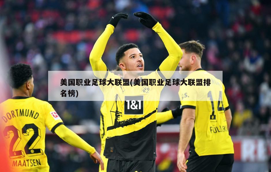 美国职业足球大联盟(美国职业足球大联盟排名榜)-第1张图片-海莱特体育