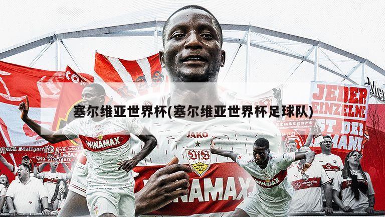 塞尔维亚世界杯(塞尔维亚世界杯足球队)-第1张图片-海莱特体育