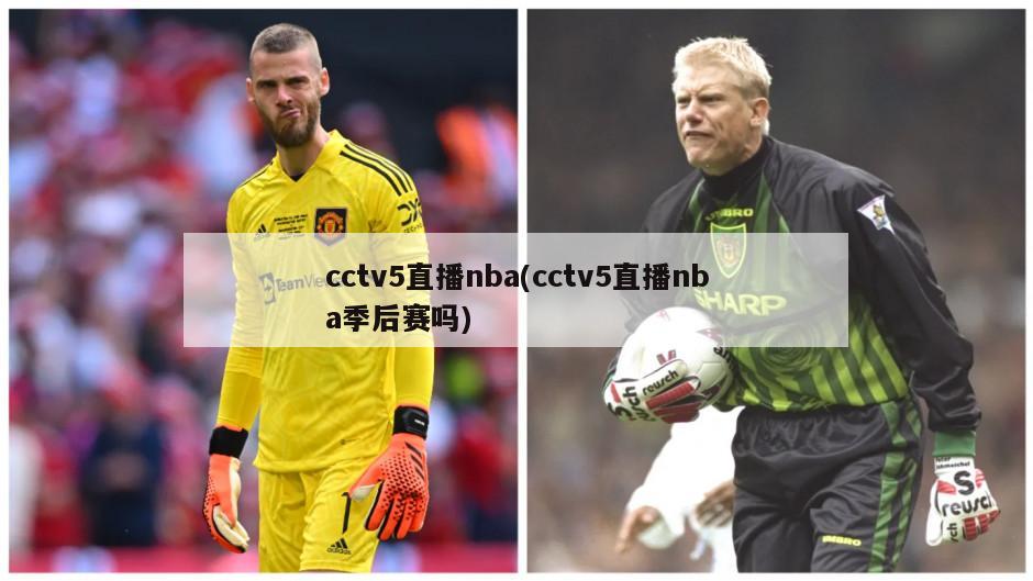 cctv5直播nba(cctv5直播nba季后赛吗)-第1张图片-海莱特体育