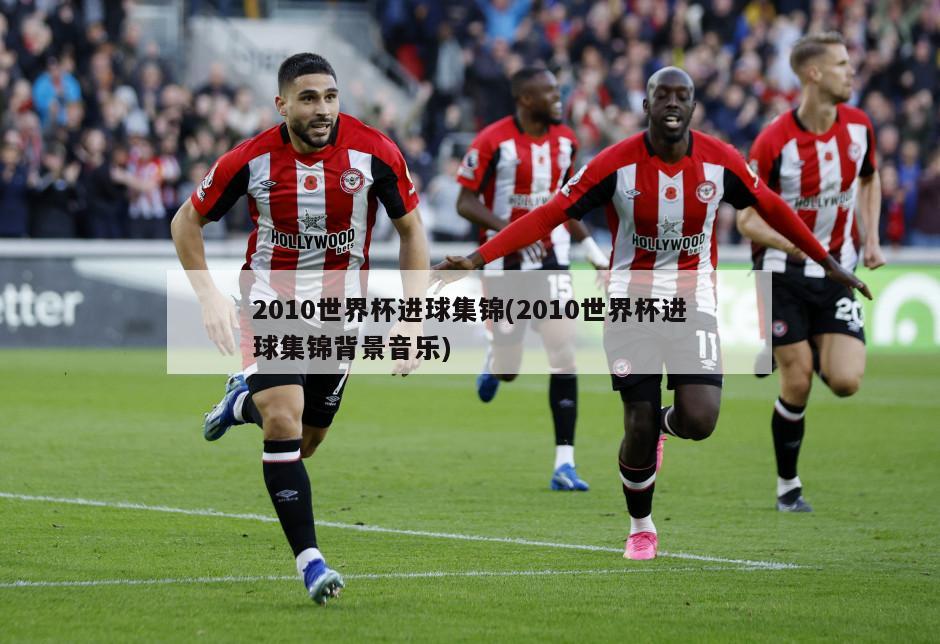 2010世界杯进球集锦(2010世界杯进球集锦背景音乐)-第1张图片-海莱特体育